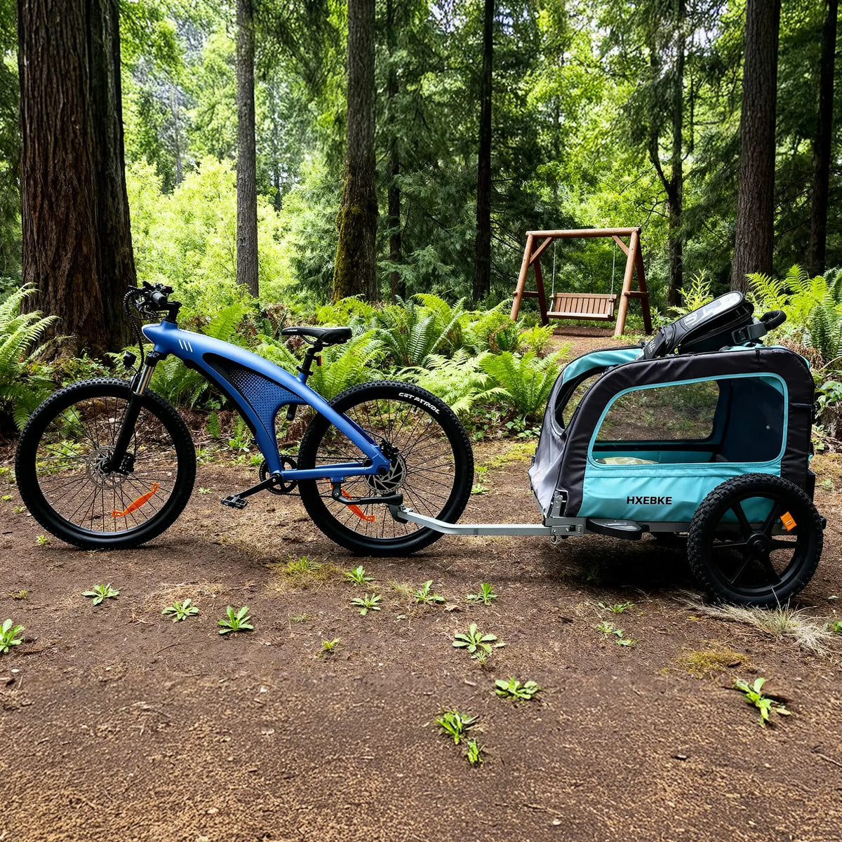 HX Q5 Shark Electric Bike