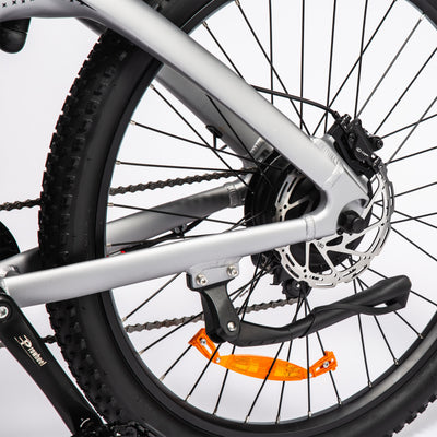 HX Q5 Shark Electric Bike