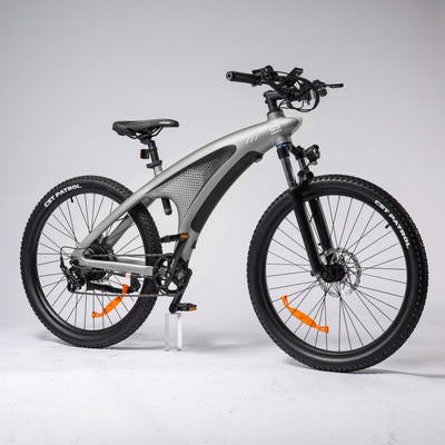 HX Q5 Shark Electric Bike