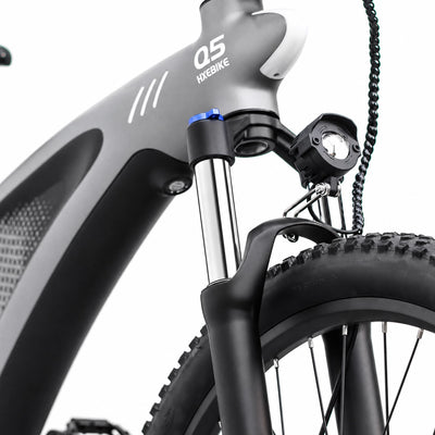 HX Q5 Shark Electric Bike