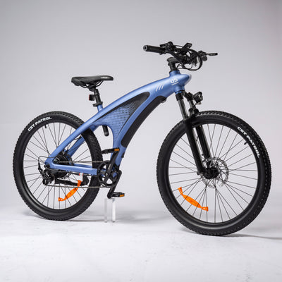 HX Q5 Shark Electric Bike