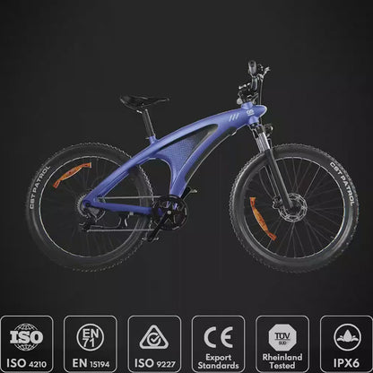 HX Q5 Shark Electric Bike